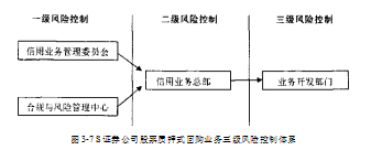 股票质押式回购风险管理S证券公司